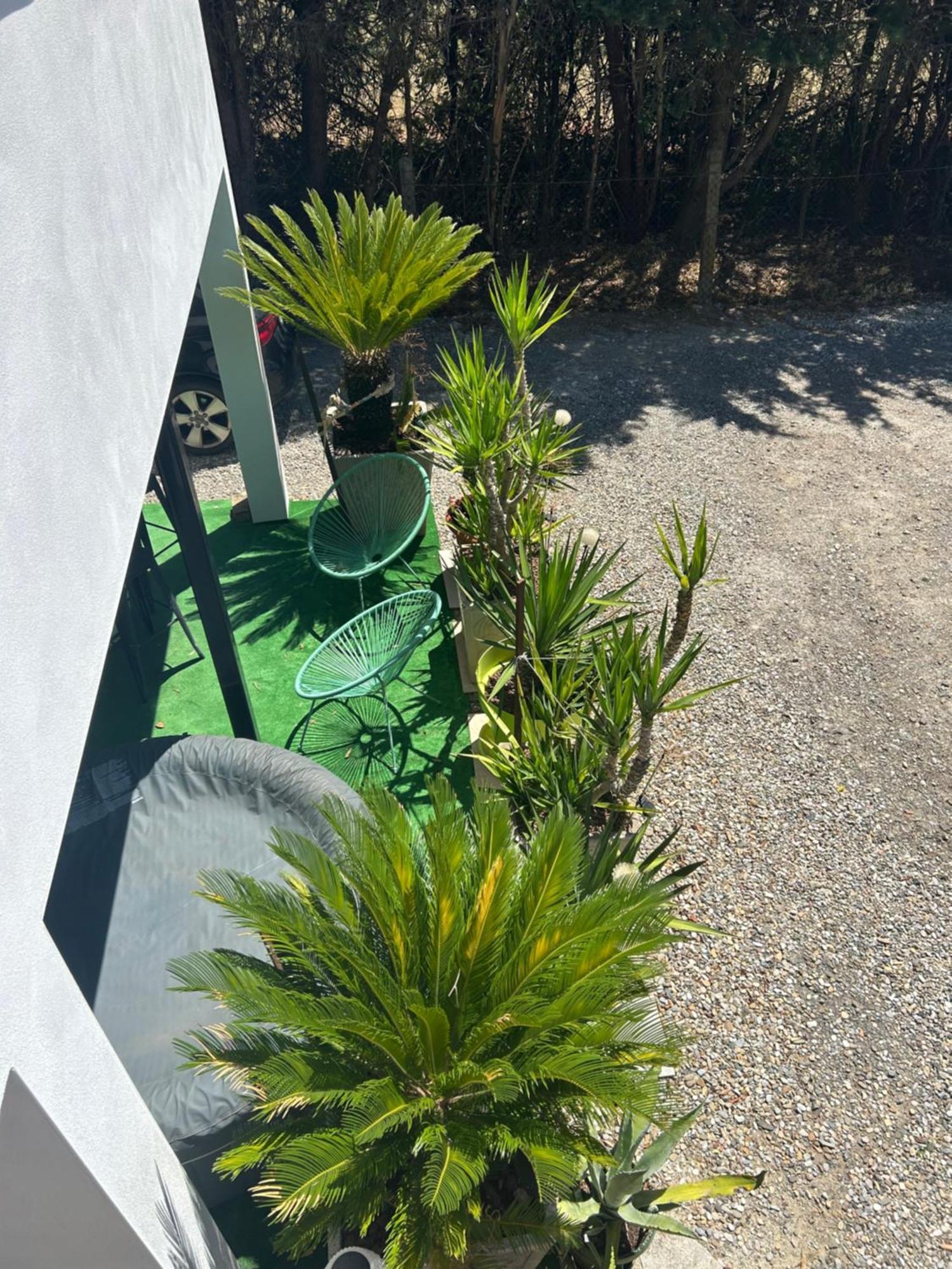 Appart-One Terrasse Jacuzzi Parking 卡尔卡松 外观 照片